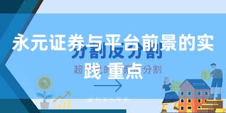 永元证券与平台前景的实践 重点