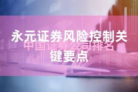 永元证券风险控制关键要点