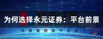 为何选择永元证券：平台前景