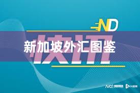 新加坡外汇图鉴