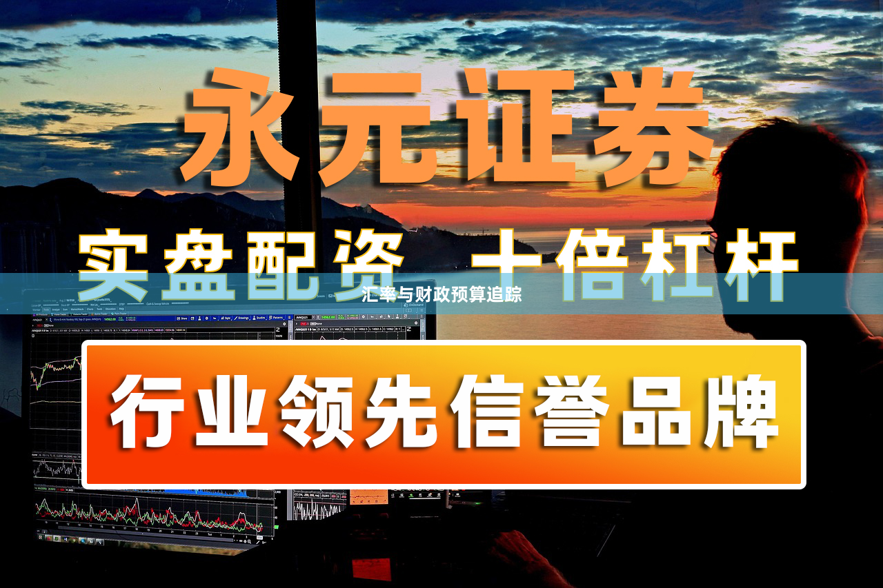 汇率与财政预算追踪